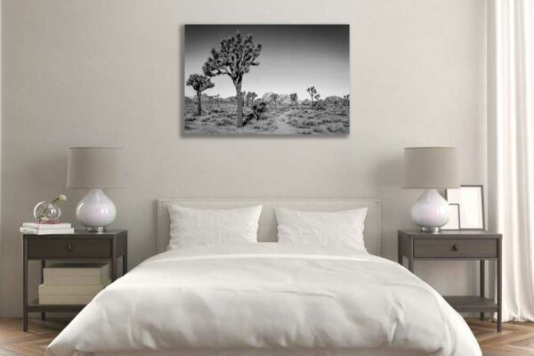 Joshua Tree – Image 3