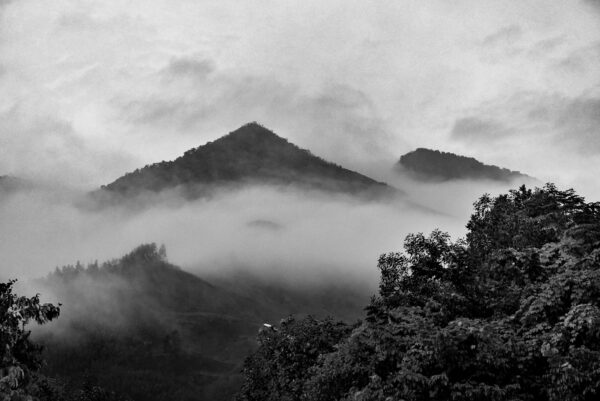 Dans la brume