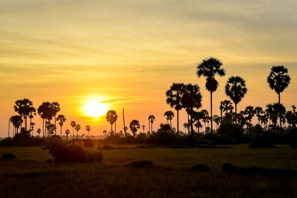Coucher de Soleil