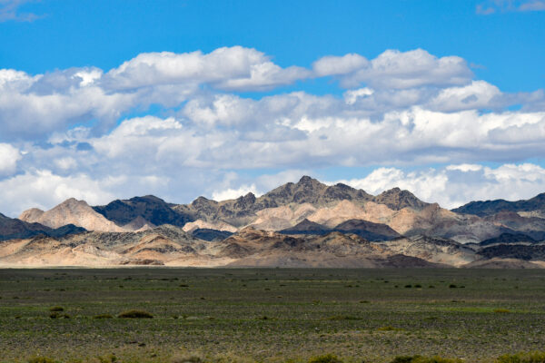 Steppe mongole