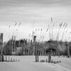 Plage #1