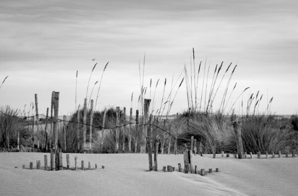 Plage #1