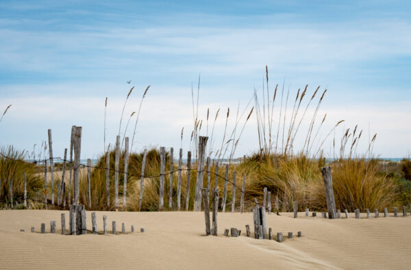 Plage #2