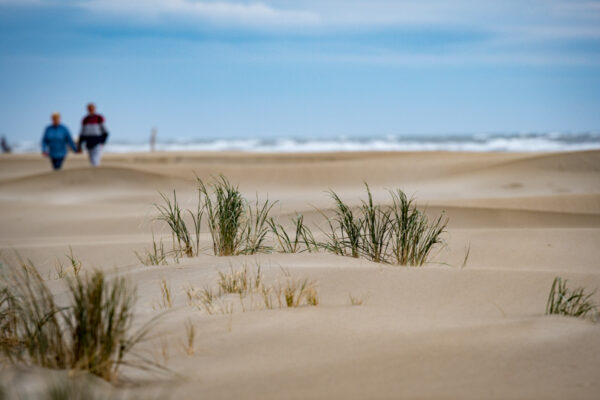 Plage #4