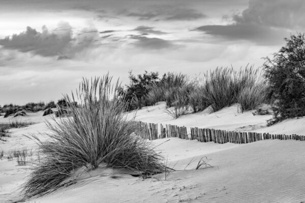 Plage #5