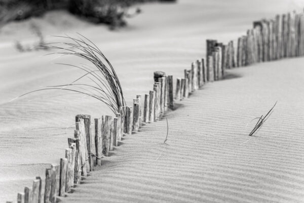 Plage #6