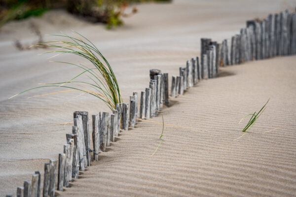 Plage #7