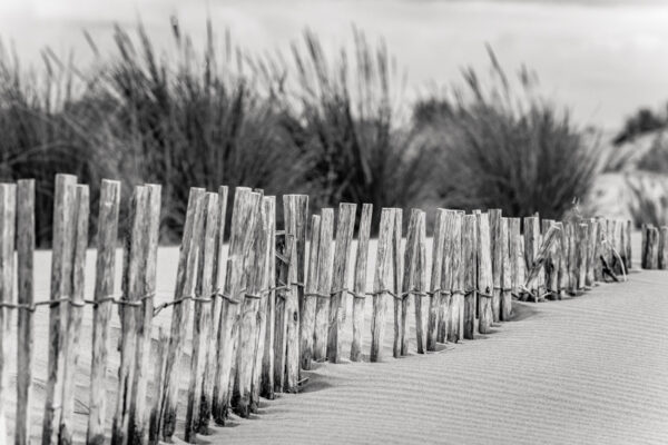 Plage #8