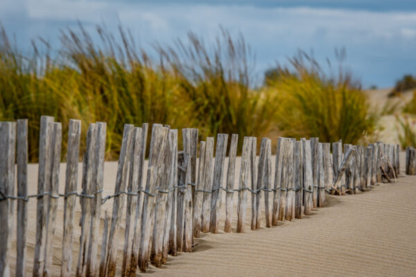 Plage #9