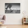 Joshua Tree – Image 2