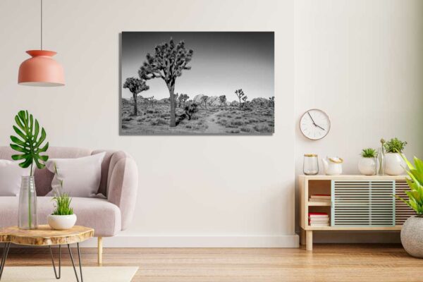 Joshua Tree – Image 2